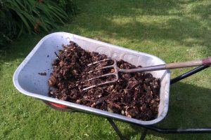 Kitchen food waste after six months in drum composter